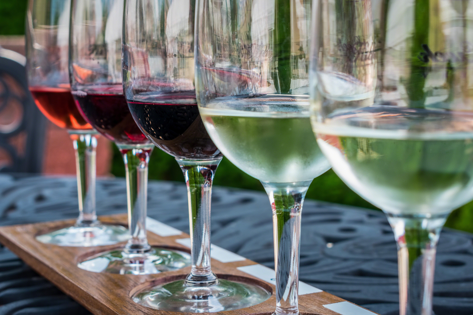 Glasses of red and white wine lined up for a wine tasting
